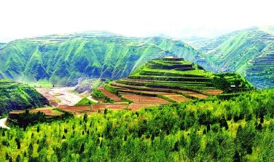 在希腊岛屿走私行动中，数十件古代文物被查获