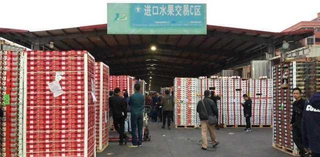巴基斯坦在举办国家矿产部门峰会之际，着眼于数十亿美元的投资