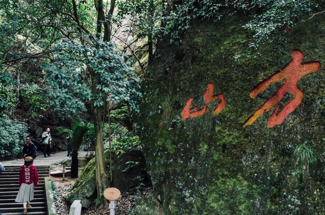 大火正在南非著名的桌山山坡上燃烧